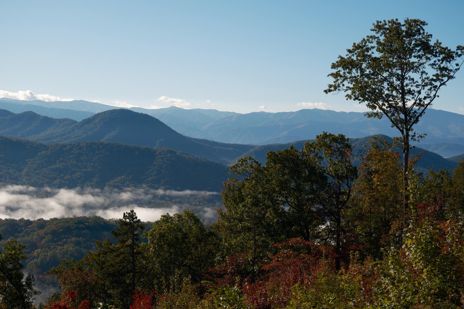 Professional cleaning service hero image